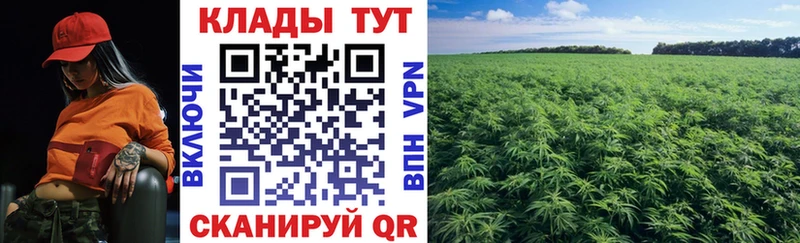 Где найти наркотики Сельцо БУТИРАТ  Вейп ТГК  Марихуана  АМФ  МЕФ 
