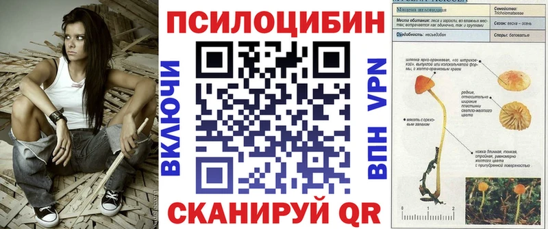 где продают   Сельцо  Псилоцибиновые грибы Cubensis 